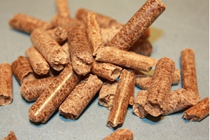 Khả quan thị trường xuất khẩu viên nén gỗ